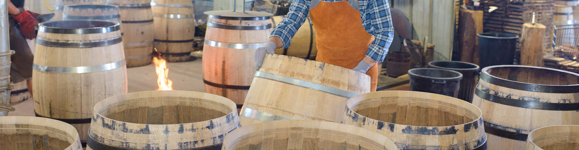 Enterprise Zone Joint Industrial Development Authority in Wythe